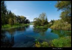 lago lago