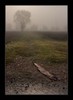 Madera