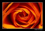 ...due anni con Photo4U...