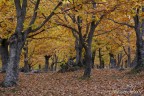un mare autunnale