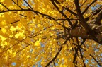 Autunno 2 Autunno 2