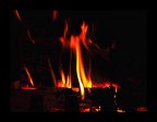 Flames Flames
