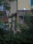 piove... piove...