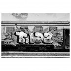 Trains Trains