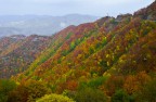 Passo Sambuca, colori d'autunno Passo Sambuca, colori d'autunno
