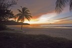 Tramonto, una palma, due sdrai