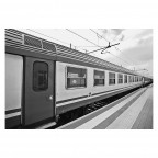 Trains Trains