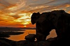 Orso di sera... Orso di sera...