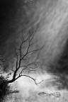 Atmosfera surreale Atmosfera surreale