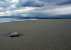 LA SPIAGGIA FINO IN FONDO LA SPIAGGIA FINO IN FONDO