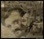 il viandante il viandante