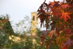 Autumn colors Autumn colors