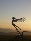 Volo libero Volo libero