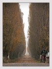 Autunno: tempo di caccia Autunno: tempo di caccia