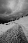 Neve e nero Neve e nero