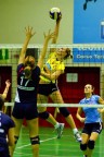 Volley B2 F Bentley vs Pro Patria Volley B2 F Bentley vs Pro Patria