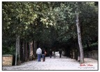 Vita da Parco Vita da Parco