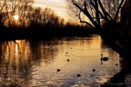 Treviso lungo il Sile Treviso lungo il Sile