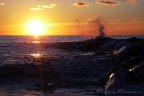 tramonto sul mare tramonto sul mare