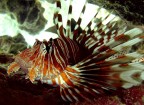 MacroMarina MacroMarina