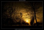 black sunset black sunset