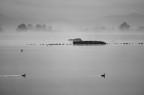 ...al lago...