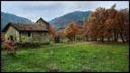 Abbandono.. Abbandono..