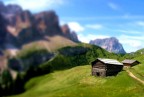 tilt shift tilt shift