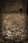 les feuilles mortes les feuilles mortes
