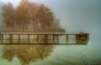 Nebbia sul lago Nebbia sul lago