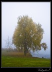 Autunno sul lago Autunno sul lago