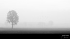 :: silence and loneliness :: silence and loneliness