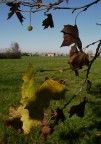 autunno.. terramia autunno.. terramia