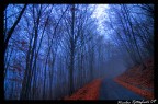 Silenzio.. Silenzio..