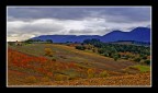 Autunno in Umbria Autunno in Umbria