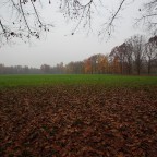 Autunno