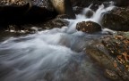 torrente in autunno torrente in autunno