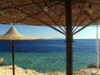 vacation vacation