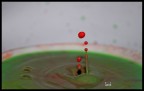 Drops Drops
