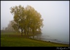 Angolo del Lago Angolo del Lago