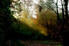 Autunno 2 Autunno 2