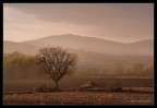 verso sera verso sera