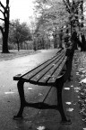 Central Park Central Park