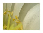 una volta e mai più una volta e mai più