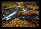 Angolo d'autunno Angolo d'autunno