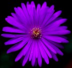 Prova effetto ottico..