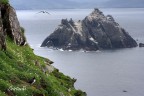 Skellig islands (le galapagos d'europa) Skellig islands (le galapagos d'europa)