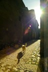 . solo luce . solo luce