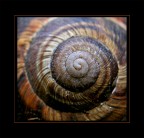 prova macro con lenti addizionali