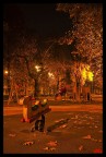 Contest n.42 - Al Calar della Notte Contest n.42 - Al Calar della Notte